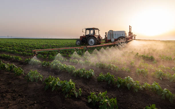 Best Pest Prevention Services  in Cozad, NE