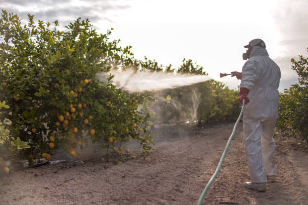 Best Best Pest Control Companies  in Cozad, NE