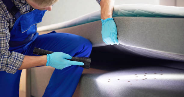 Best Bed Bug Extermination  in Cozad, NE