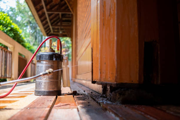 Best Affordable Pest Control Services  in Cozad, NE