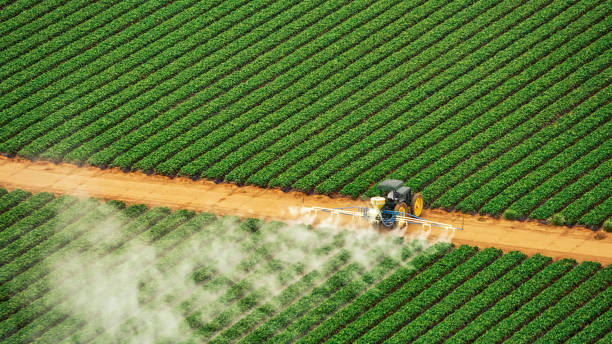 Best Commercial Pest Control Services  in Cozad, NE
