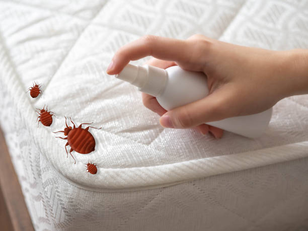 Best Affordable Pest Control Services  in Cozad, NE