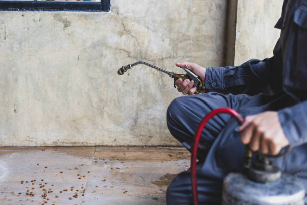 Professional Pest Control in Cozad, NE